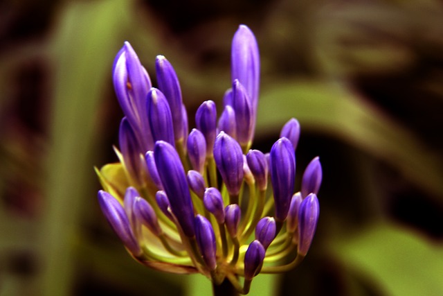 如曼联这样 如曼联这样