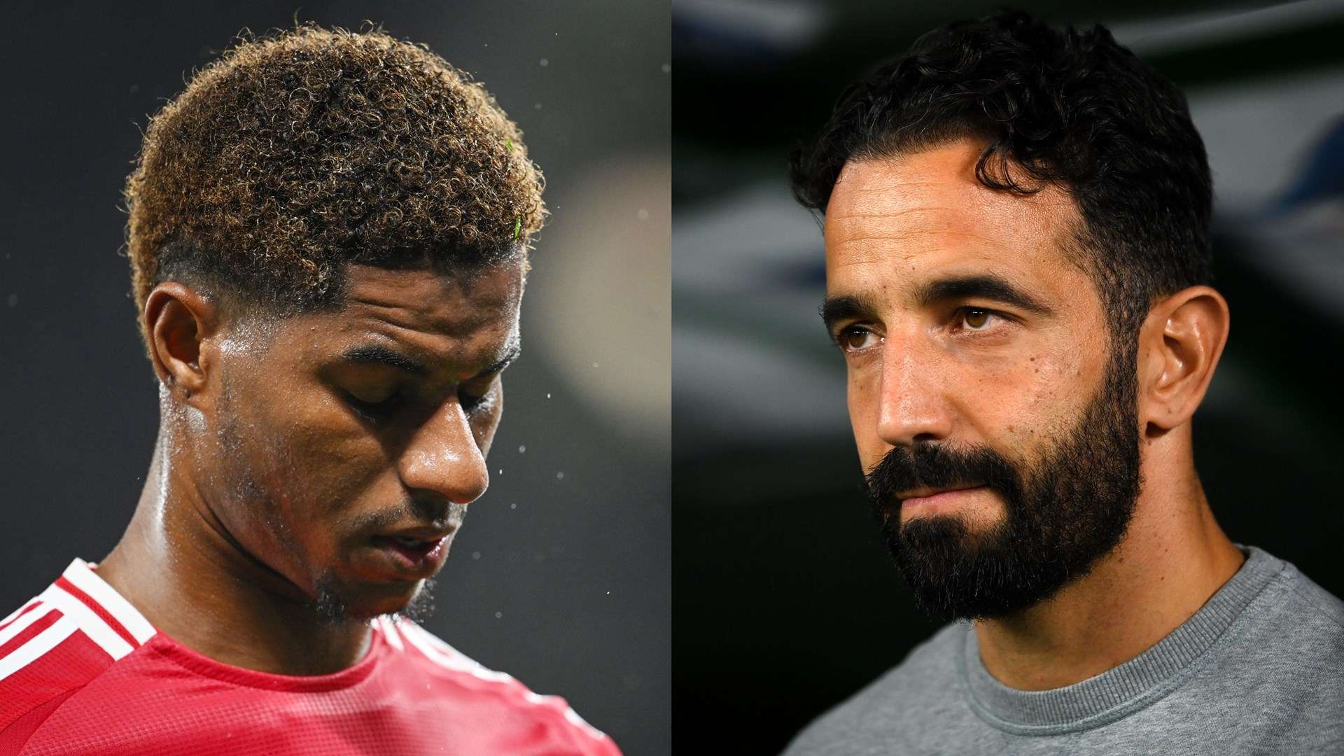 多的排球迷 多的排球迷