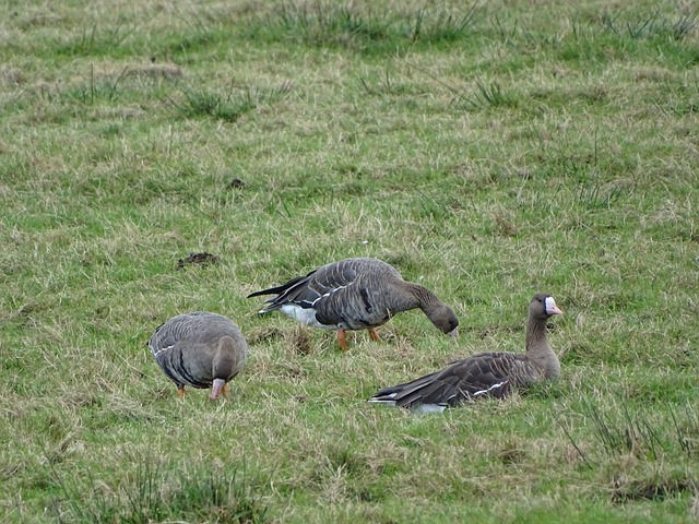 人联想到历 人联想到历